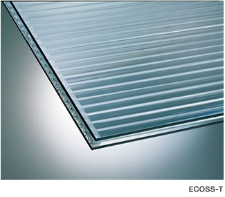 ECOSS