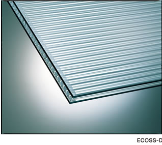 ECOSS